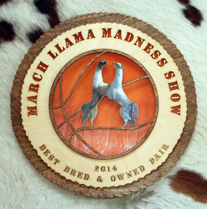 basketball llama