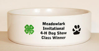 Dog Bowl