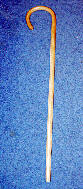 cane